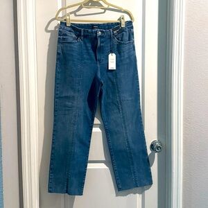 Express Modern Straight High Rise Flexx Jeans